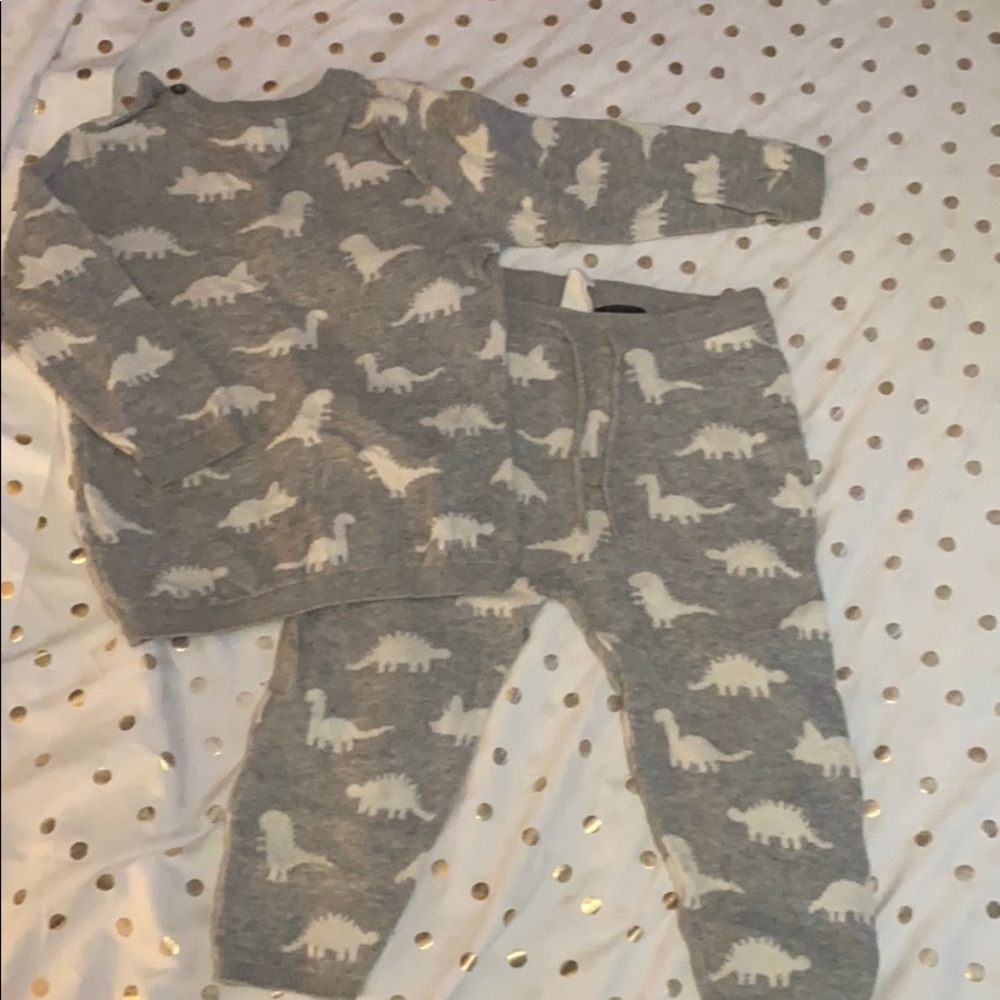 Dinosaur sweatsuit